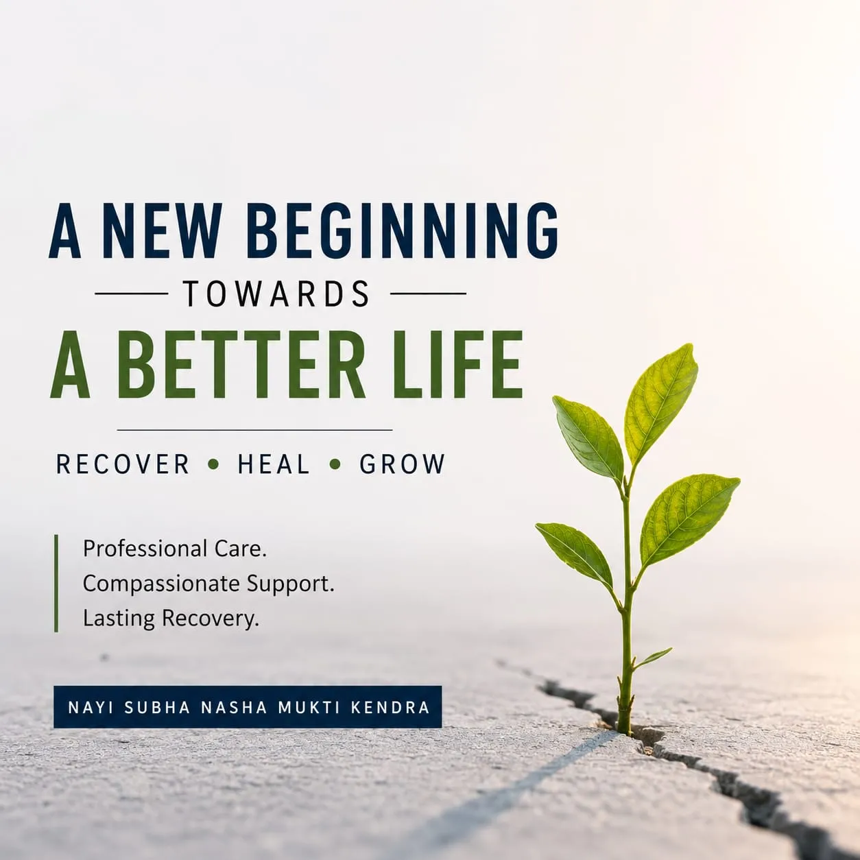 The Silent Addiction Crisis: Why Healing Begins Before Quitting