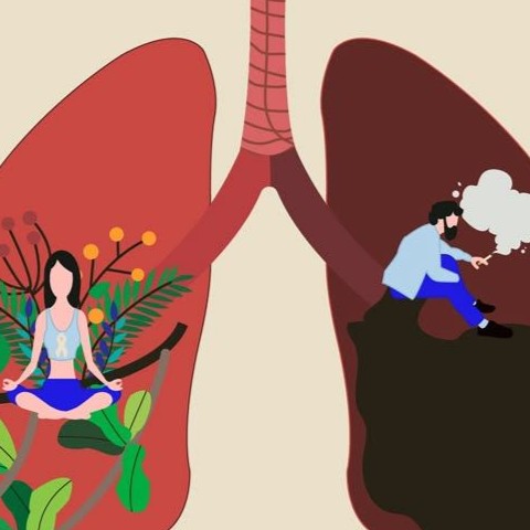 1542ecd2969467f9ba43c2b26a067e61