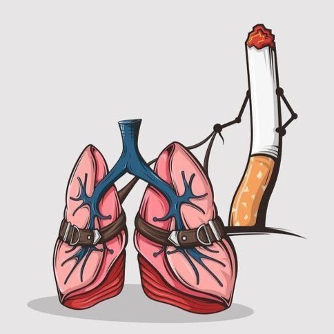 d390bafe6bb12b6aa34581f2b8e650df